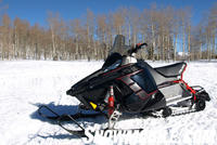 2010 Polaris RUSH Profile