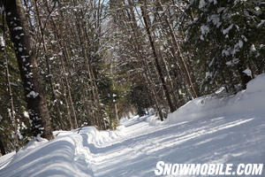 Bonfield Snowmobile Trail