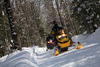 Freshly Groomed Snowmobile Trail