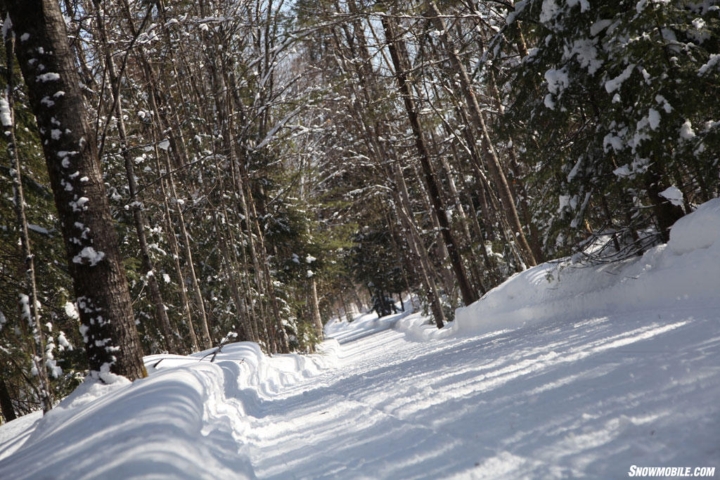 Bonfield Snowmobile Trail