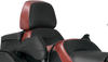 TZ1LXR_detachable_2pass_seat_w_backrest.jpg