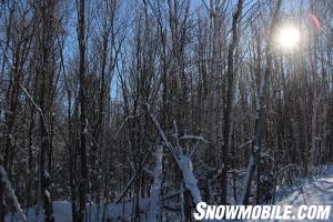 Algoma Tree-Lined Snowmobile Trail