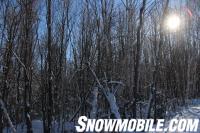 Algoma Tree-Lined Snowmobile Trail