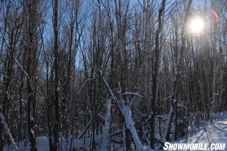 Algoma Tree-Lined Snowmobile Trail