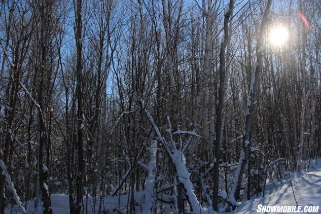 Algoma Tree-Lined Snowmobile Trail