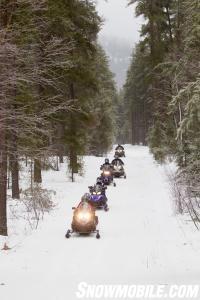 Tree Line Snowmobile Trail