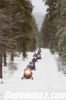 Tree Line Snowmobile Trail