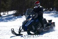 2016 Arctic Cat Bearcat 3000 LT Action Left