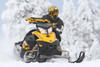 2009 Ski-Doo E-TEC