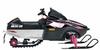 2009 Arctic Cat AC Sno Pro 120