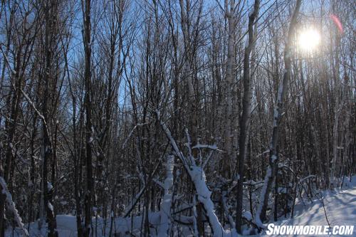 Algoma Tree-Lined Snowmobile Trail